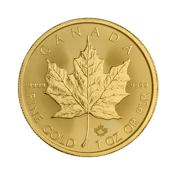 Obverse 1 troy ounce gold Maple Leaf coin