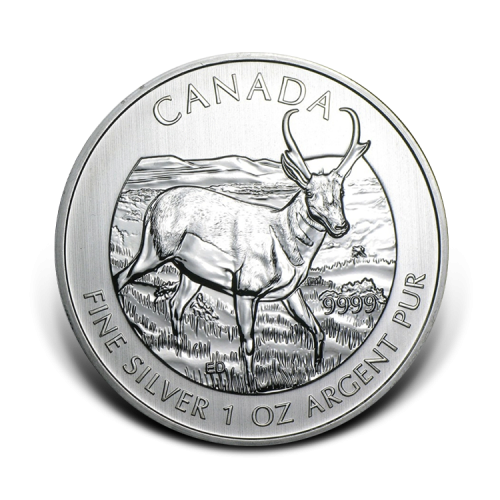 Thumbnail 1 oz Royal Canadian Mint Silbermünze 2013 front