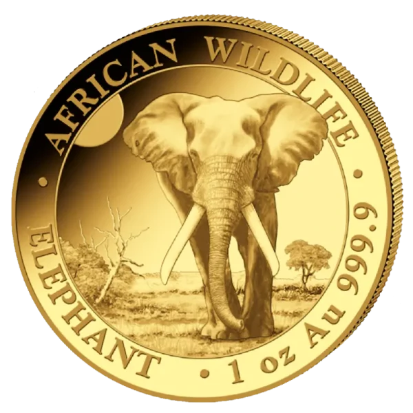 1 oz Somalia Elephant Gold Coin | 2025(Front)